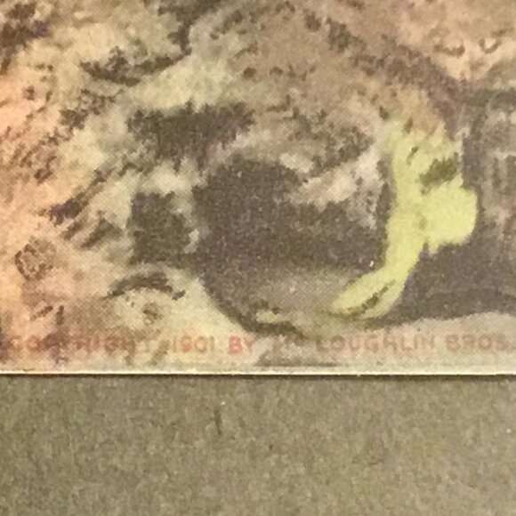 Antique 1901 framed print of a beautiful lady by McLaughlin Bros. - Picture 6 of 8